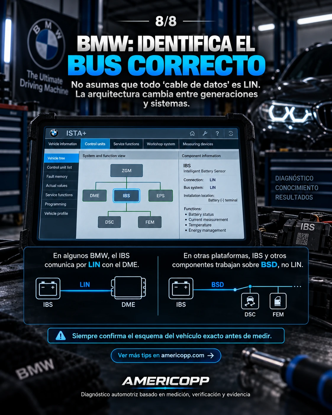 BMW: identificar si el sistema usa LIN o BSD antes de medir y diagnosticar